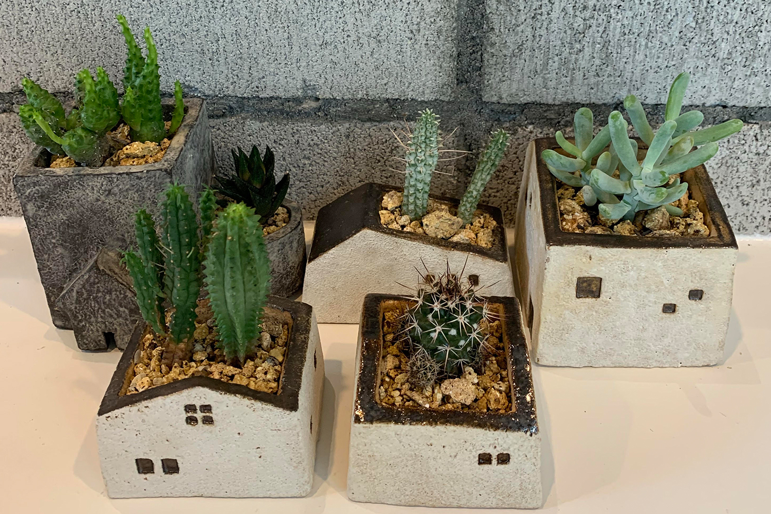 陶芸作家「可周久（カスク）」植木鉢